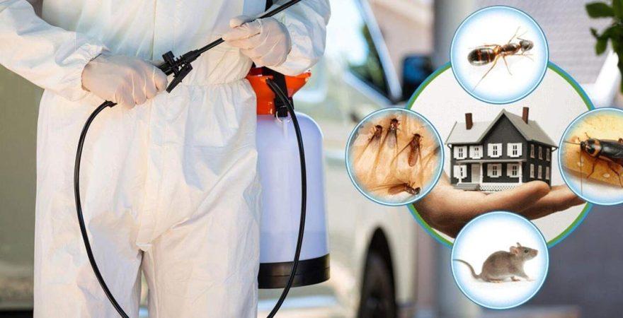 Özalp Böcek İlaçlama