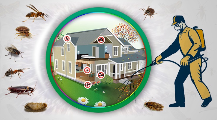 Özalp Böcek İlaçlama