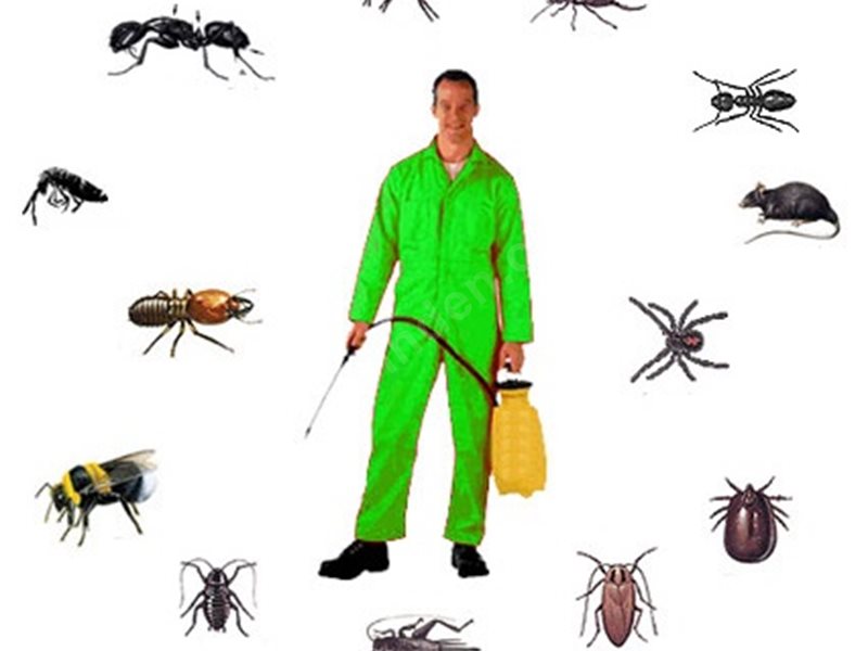 Özalp Böcek İlaçlama